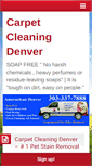 Mobile Screenshot of ameracleandenver.com